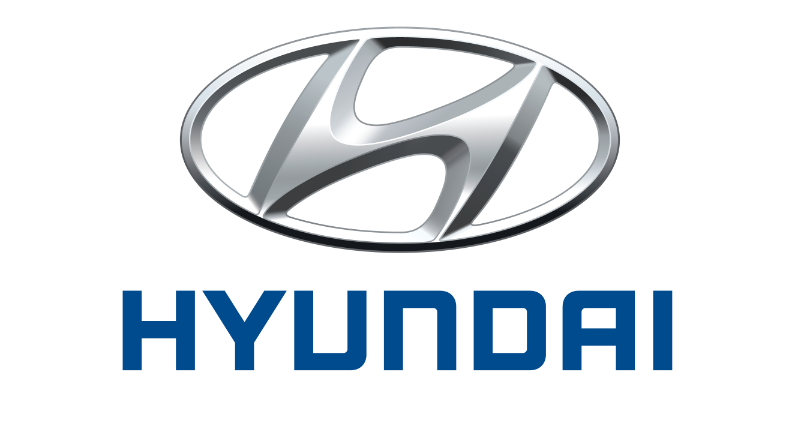 Hyundai vin pārbaude