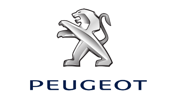 Peugeot 206+ vin pārbaude